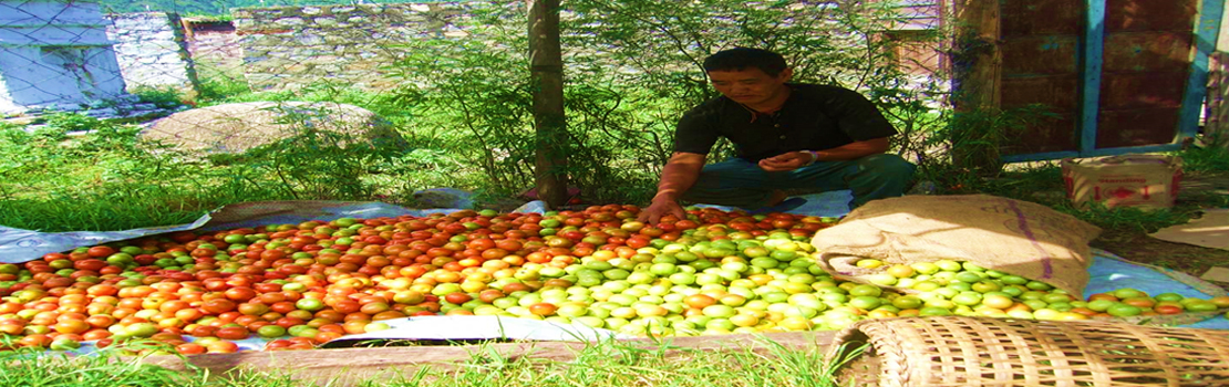 Agriculture and Allied