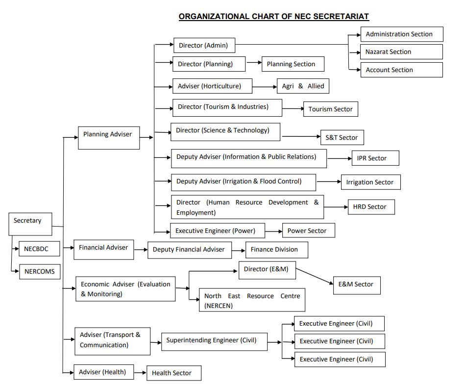 Organization Chart