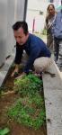 Assistant Secretary Sh. Bamin Tarang planting a sappling of ornamental flower in NEC Campus