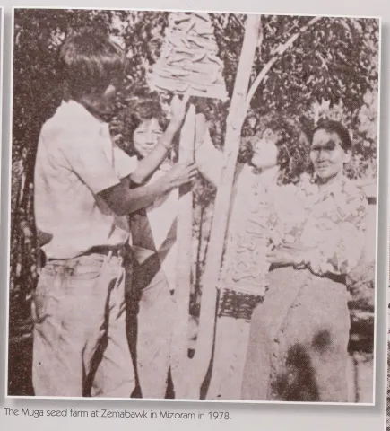 1978 में मिज़ोरम के ज़ेमाबाक में मुगा बीज फार्म