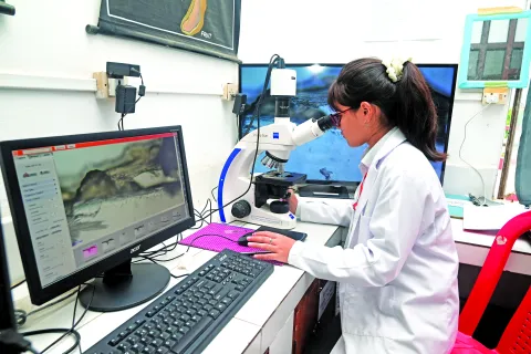 क्षेत्रीय पैरामेडिकल एवं नर्सिंग विज्ञान संस्थान, मिज़ो