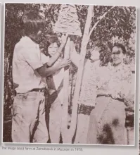 The Muga seed farm at Zemabawk in Mizoram in 1978
